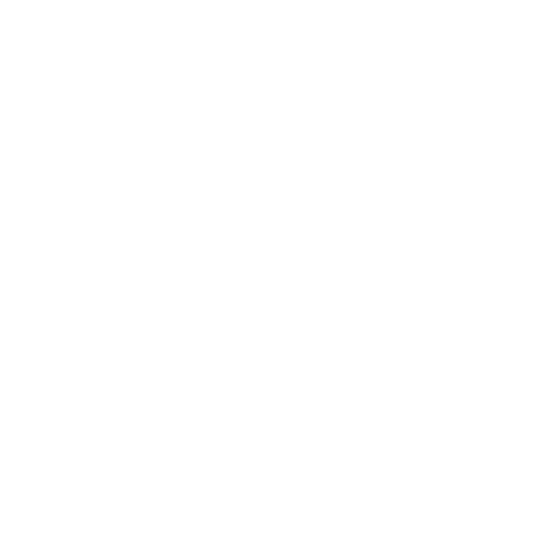 mentorship and growth