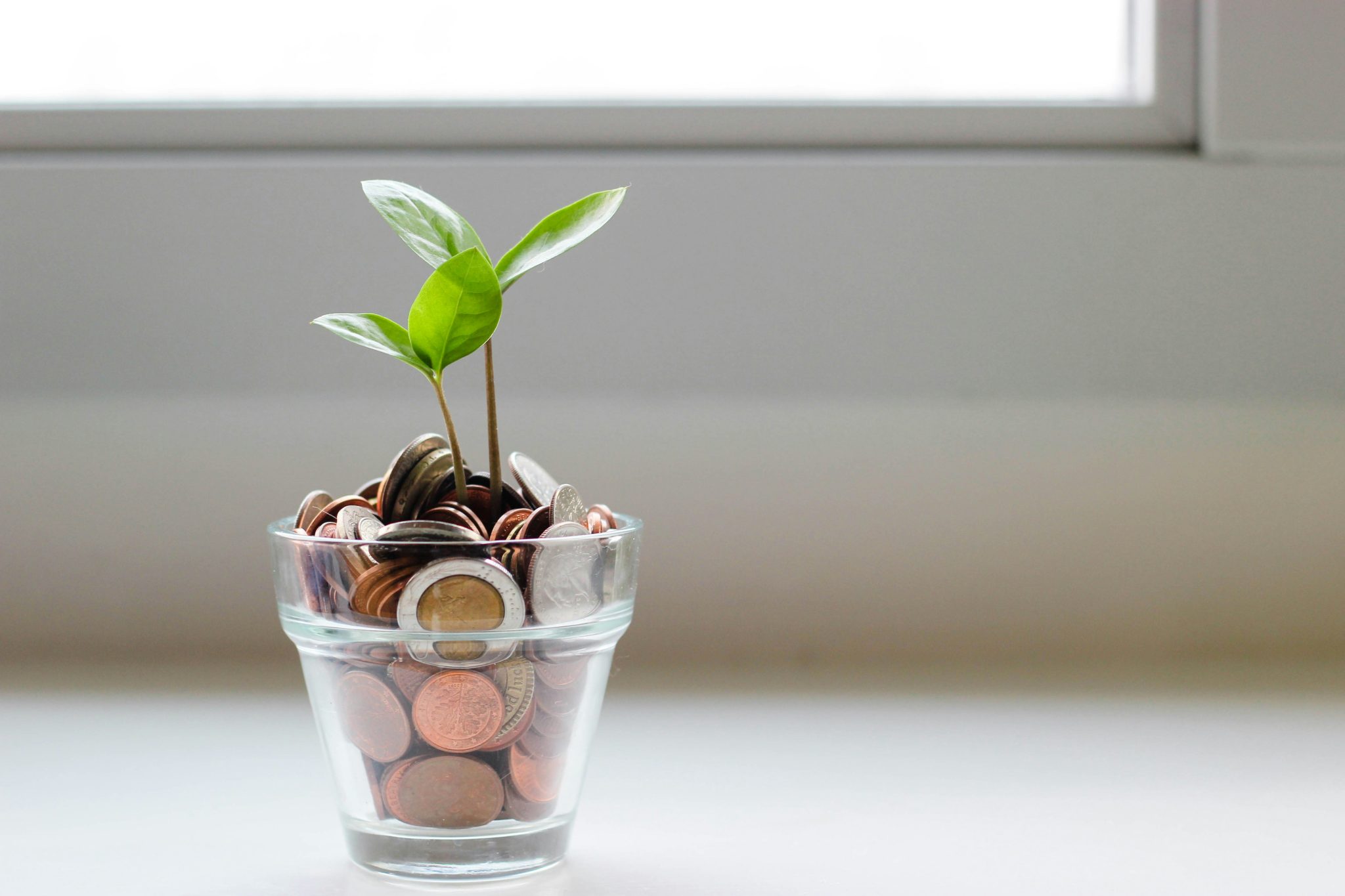small plant sprouting from a glass pot filled with coins